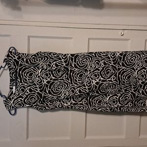 Ladies Dressbarn Dress
